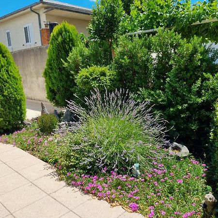 Apartment Nina Novi Vinodolski Buitenkant foto